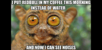 9CAE339C-8CA2-49E4-B2FF-F42CE2602E72.png