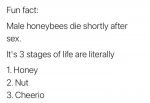 1646511343238.png